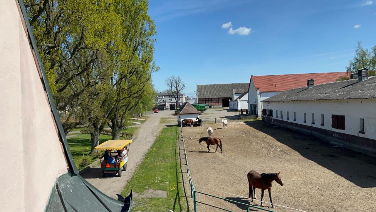Dworek Bielin Eksteriør billede